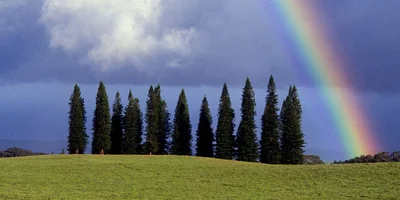 Maui Agriculutral Zoning and Properties